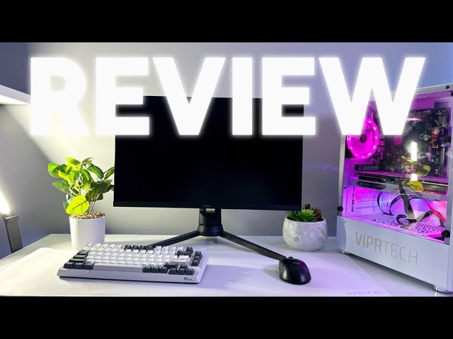 I found the Best BUDGET Gaming Monitor!