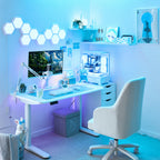 The Canvas Desk