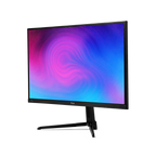 PX246 Wave 24-inch Gaming Monitor