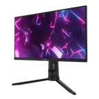 PX248 Pro Gaming Monitor