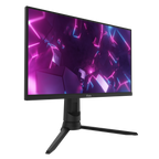 PX248 Pro Gaming Monitor