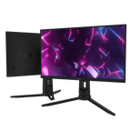 PX248 Pro Gaming Monitor