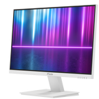 PX257 Prime White Gaming Monitor