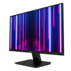 PX257 Prime Gaming Monitor