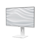 PX258 Hayabusa Competitive Gaming Monitor - Certified Refurbished