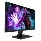 PX259 Prime Gaming Monitor 25in - Certified Refurbished