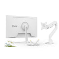 PXC279 Wave Bundle: Includes Monitor Arm + Accessories